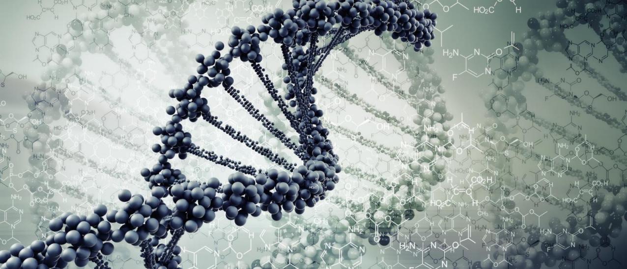 少量用集束超音波装置