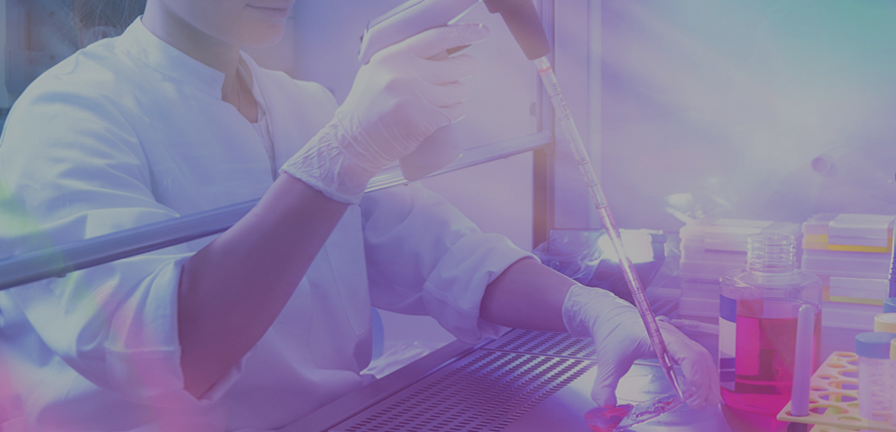 ポータブル蛍光光度計