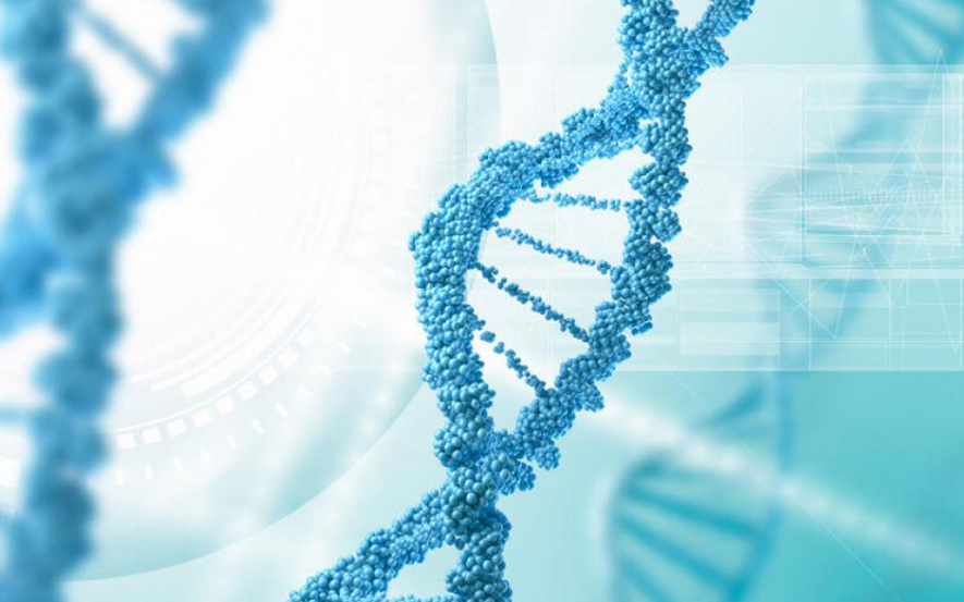 真空遠心分離機濃縮器