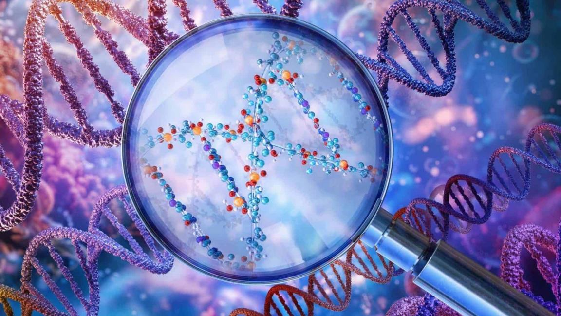 分子生物学アガロースゲル