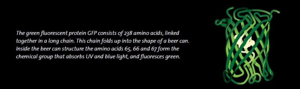 卓上蛍光光度計