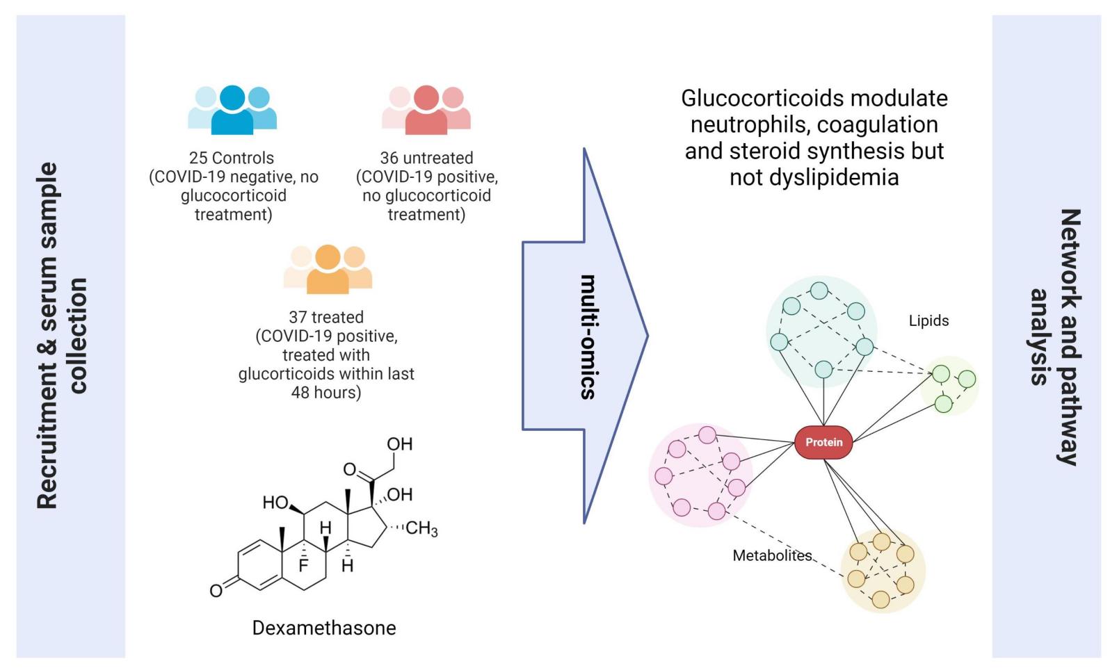 ラボ用高性能超音波装置