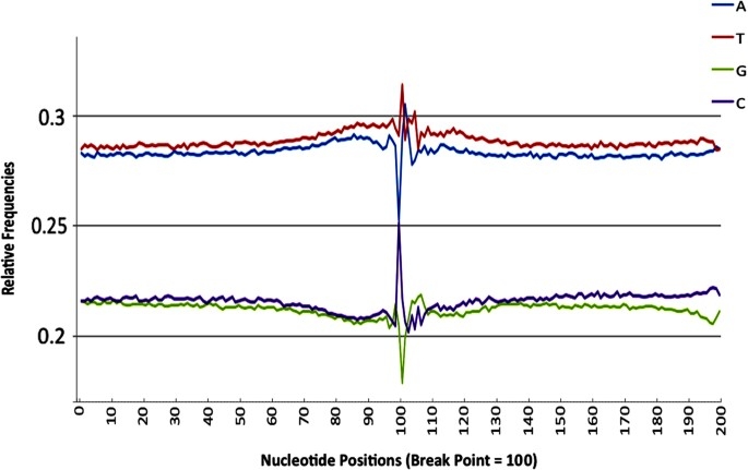 Sample Preparation Ultrasonicator