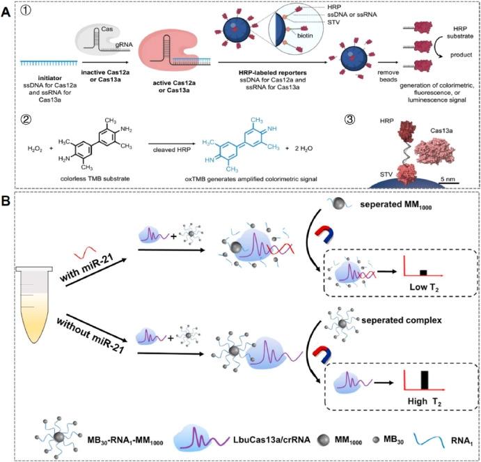 磁気分離システム