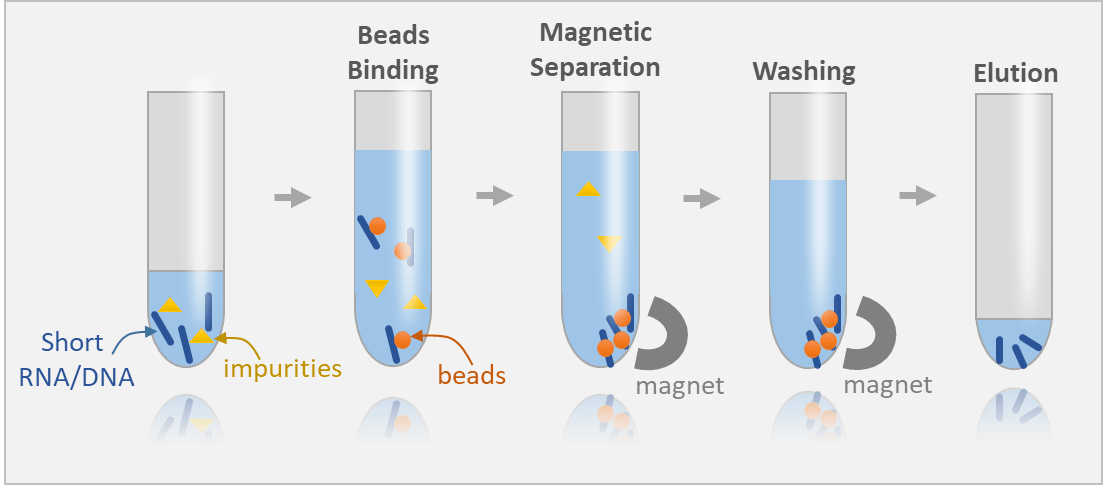 RNA分離のための磁気ラック
