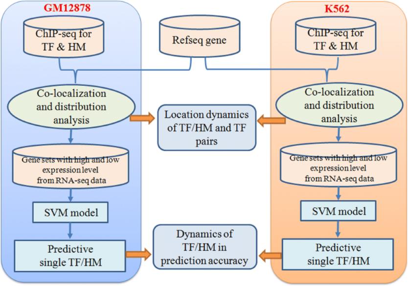 チップシーケンスサービス