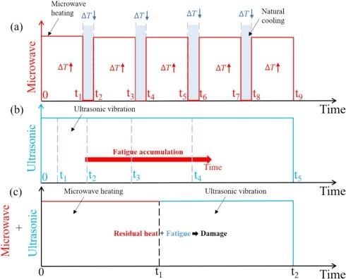集中超音波セルディスラプター